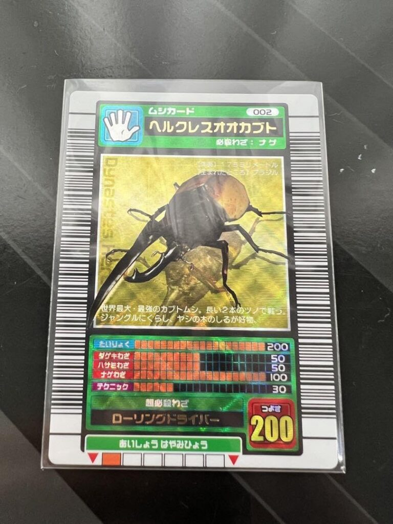 カブトムシの一種 | Dynastes hercules | ブラジル | 175mm